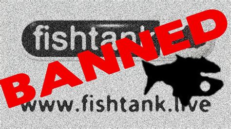 is fishtank.live down|site down